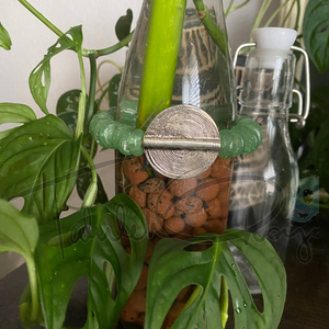 Bottle Bottle Tree Bracelets - Bottle Green with Large Metal Baule Sun